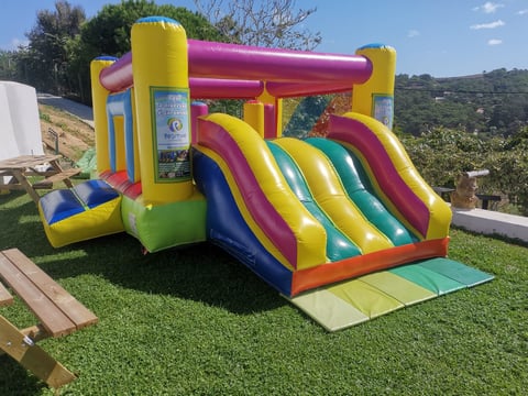 Colorful inflatable bounce house with dual slides in backyard setting with green grass and hillside view